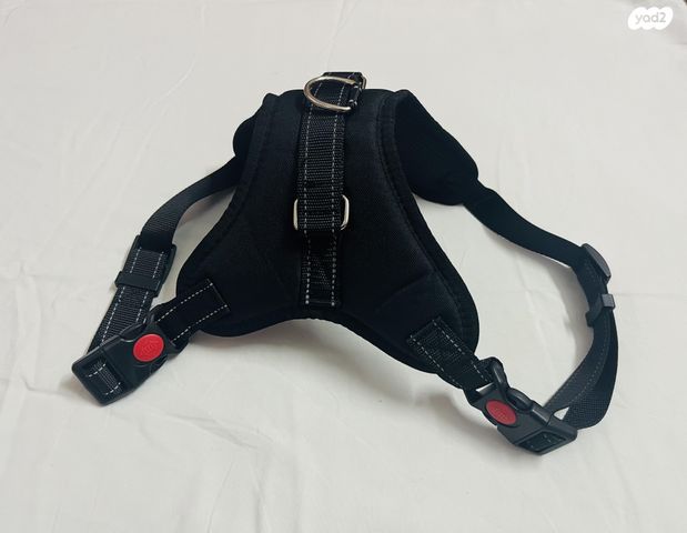 אביזרים | קולר