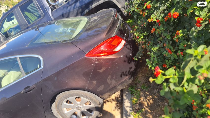 אופל אינסיגניה