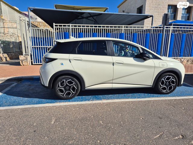 בי.ווי.די דולפין