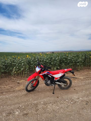 מודעת רכב הונדה CRF300L