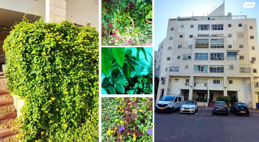 דירה, דרך מנחם בגין 48, הדר גנים, פתח תקווה