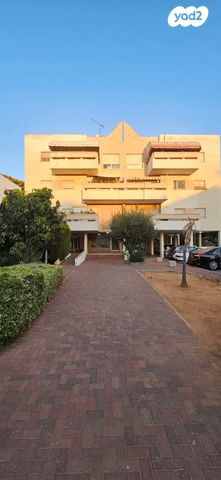 יהושע גיבשטיין 25