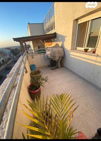 דוד אלעזר 34