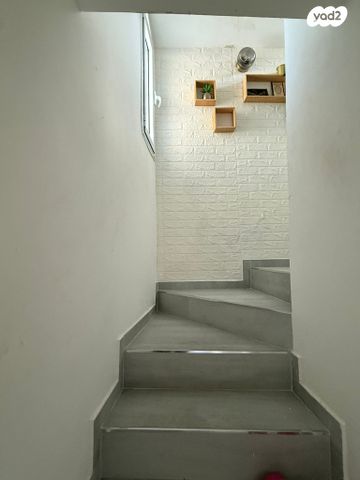 דוד רזיאל 24