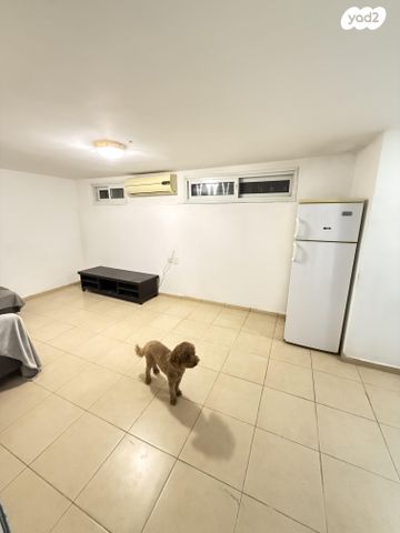 טרומפלדור 1