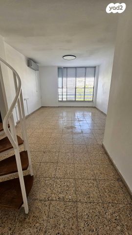 הרב ריינס 40