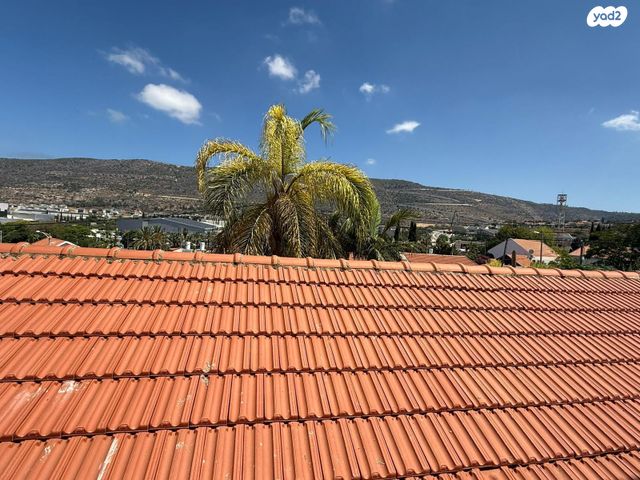 זאב ז'בוטינסקי 29