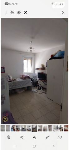 אמיר בנימיני 8