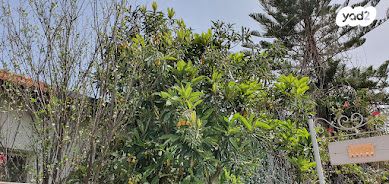 בית פרטי/ קוטג', גיזו, גיזו, גיזו