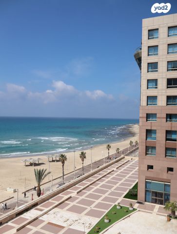 דוד אלעזר 10