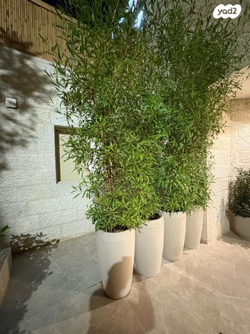 דירה, אורן 10, מבשרת ירושלים, מבשרת ציון