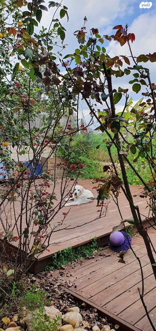 בית פרטי/ קוטג', גיזו, גיזו, גיזו