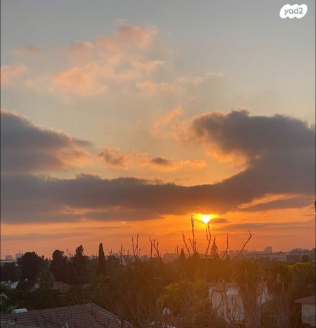 יחידת דיור, שפרינצק 19, שיכון חדש, אזור