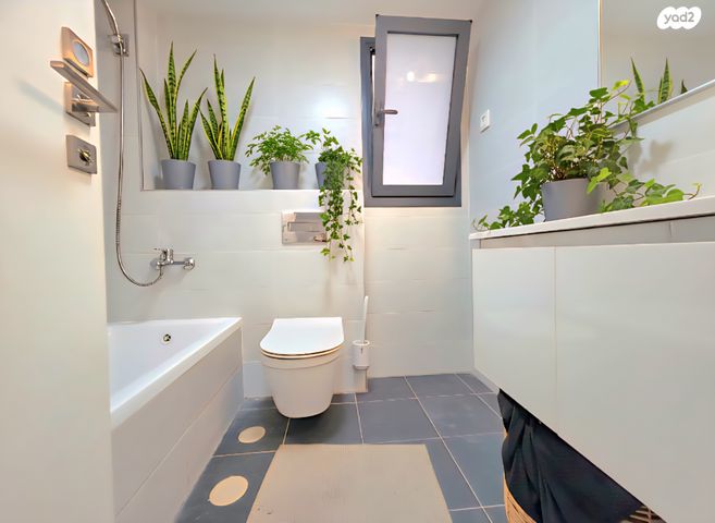 דירה, רעננה