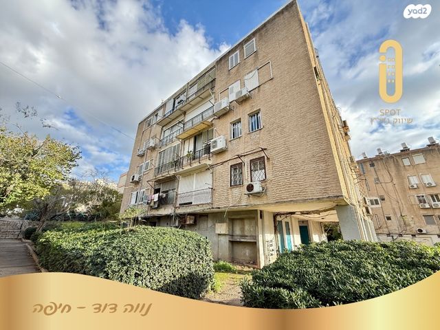 דירה, המלך יהואש, נווה דוד, חיפה