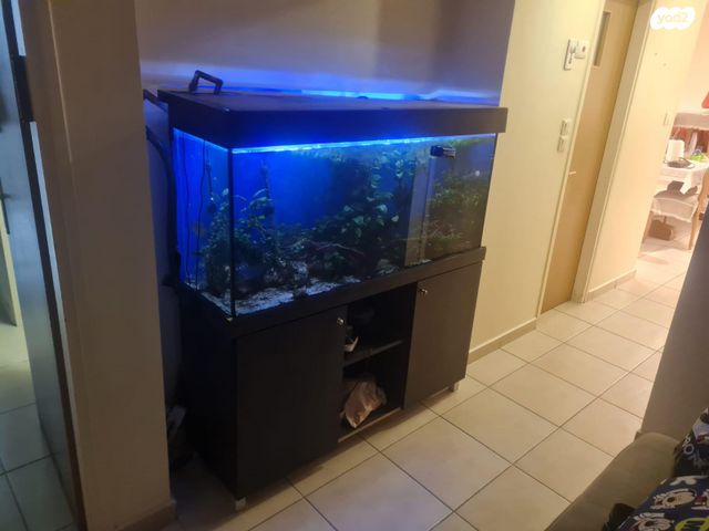 תמונת מודעה - חיות מחמד