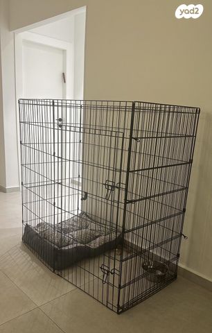 תמונת מודעה - חיות מחמד