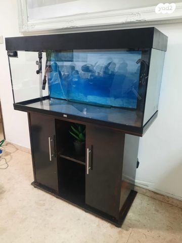 תמונת מודעה - חיות מחמד