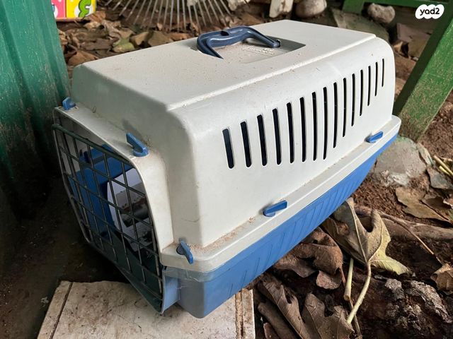 תמונת מודעה - חיות מחמד