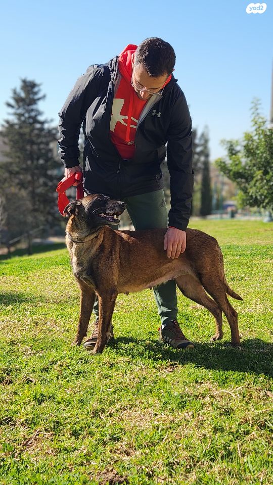 תמונת מודעה - חיות מחמד