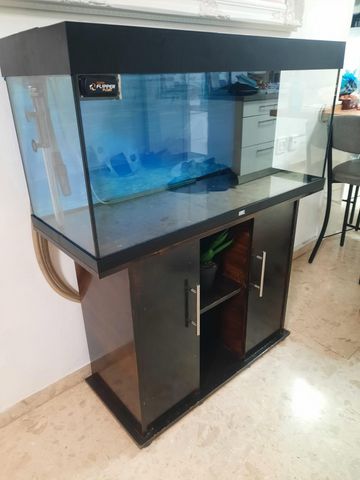 אביזרים | אקווריום