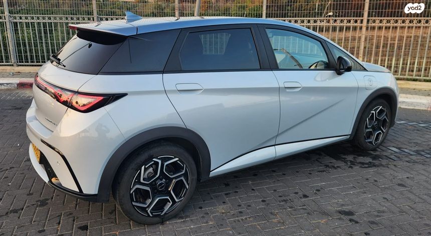 בי.ווי.די דולפין