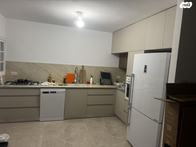 דוד וולפסון 46