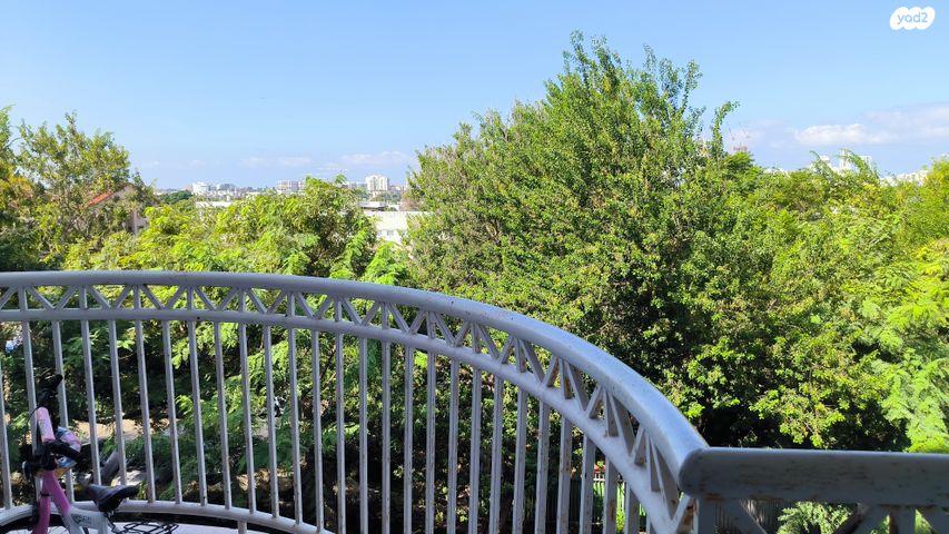 חיים לנדאו 6