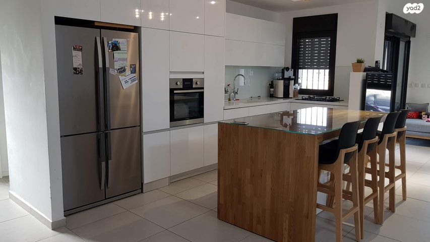 שייקה אופיר 12