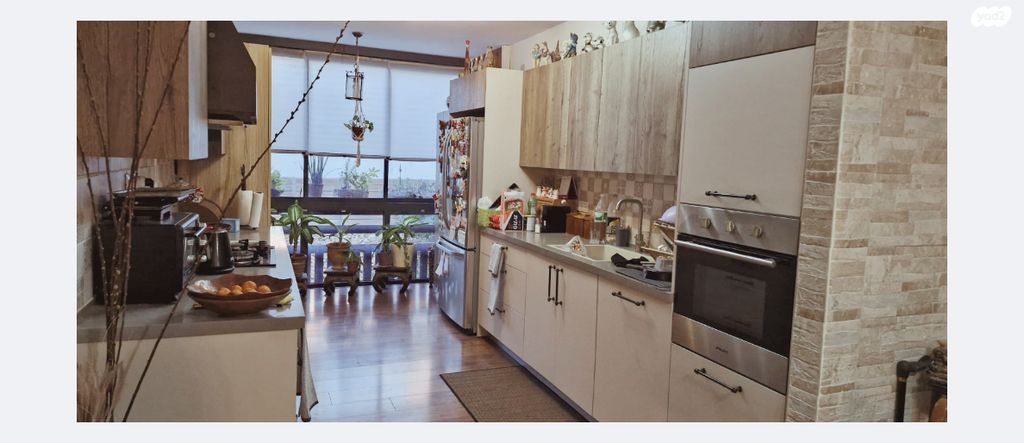 דוד רזיאל 55