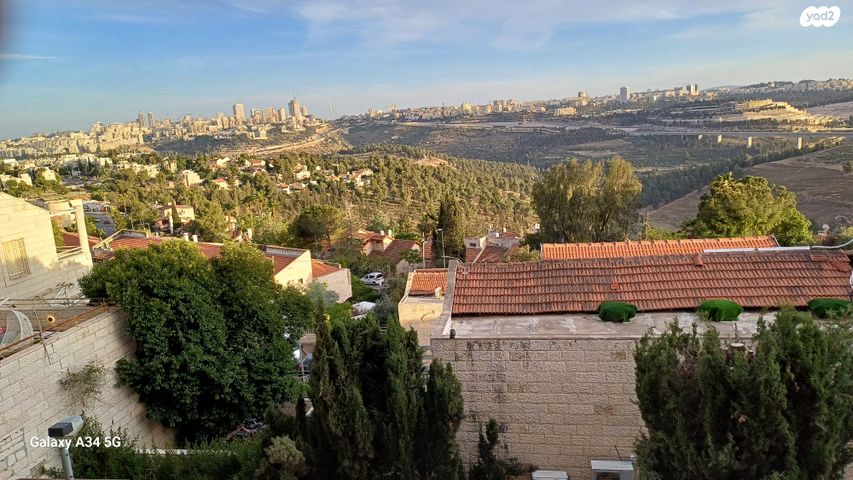 צבי מסליאנסקי 28