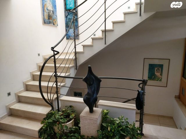 אלכסנדר סשה ארגוב 27