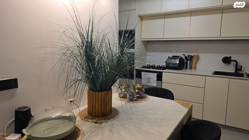 דירה, אצ"ל 5, שז"ר / דקר, טירת כרמל