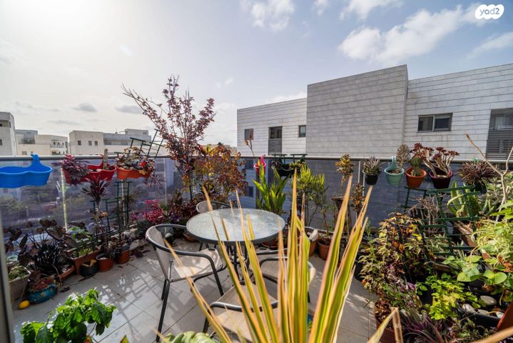 גרטרוד עליון 13