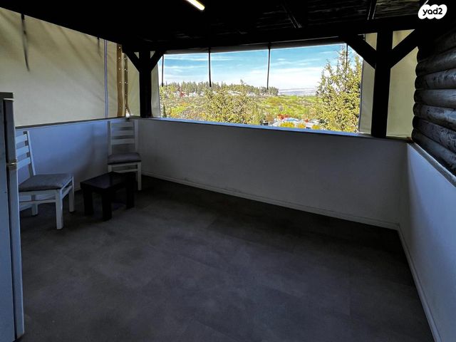 אביגדור עשת 67