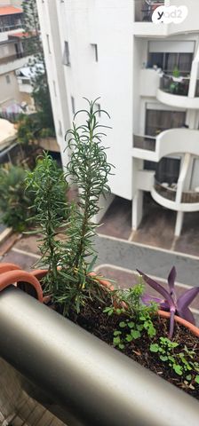 דירה, הרב נריה 9, נאות שקמה, ראשון לציון