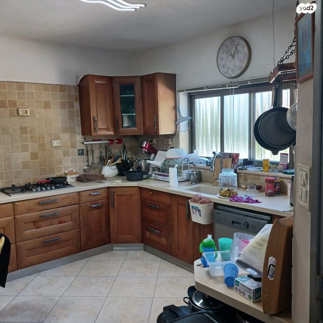 שבטי ישראל 19