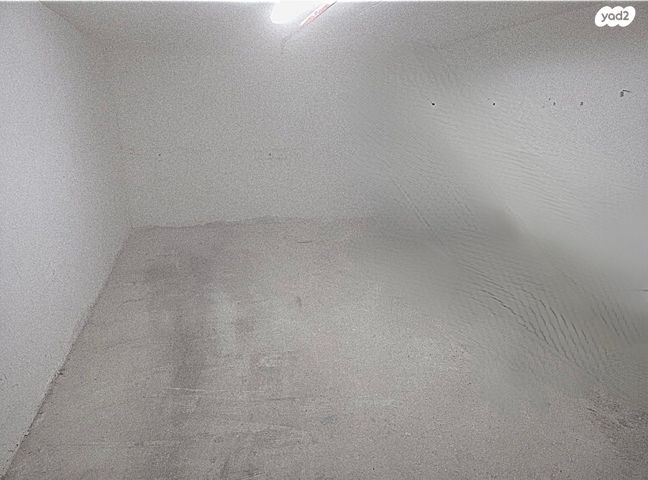 עמנואל זיסמן 15