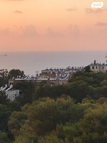 דירה, דרייפוס 23, קרית שפרינצק, חיפה