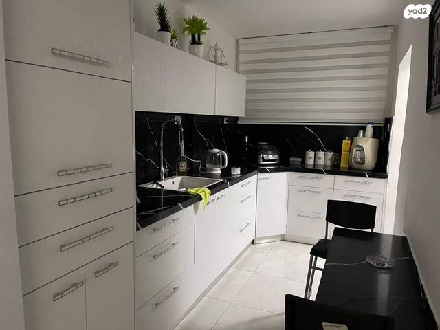 חיים סוטין 5