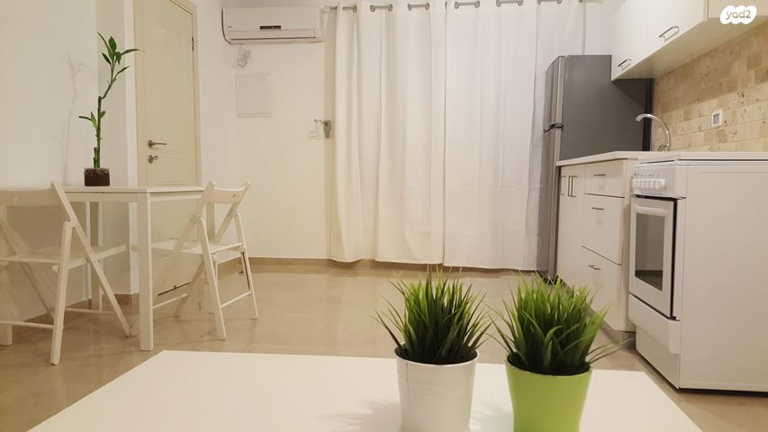 אריות הגולן 17