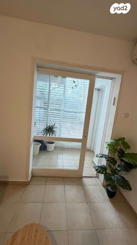 הרב ריינס 17