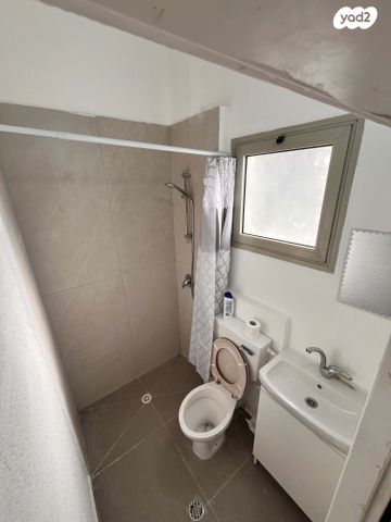 דירת גן, שבתאי לוי 12, ואדי נסנאס, חיפה