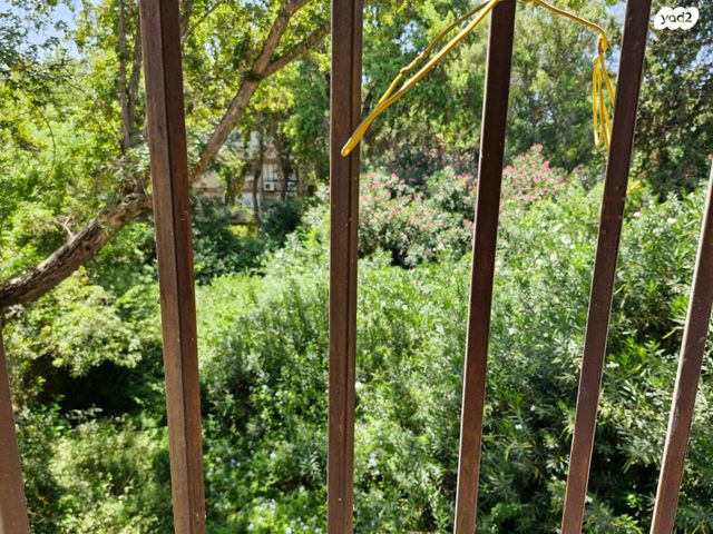 דירה, קרן קיימת לישראל 81, ביאליק דרום, קרית ביאליק