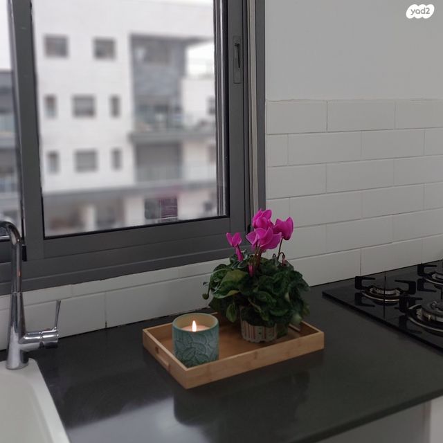 דירה, כלנית 16, הפרחים, חריש