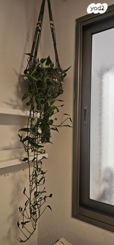 דירה, הרב נריה 9, נאות שקמה, ראשון לציון