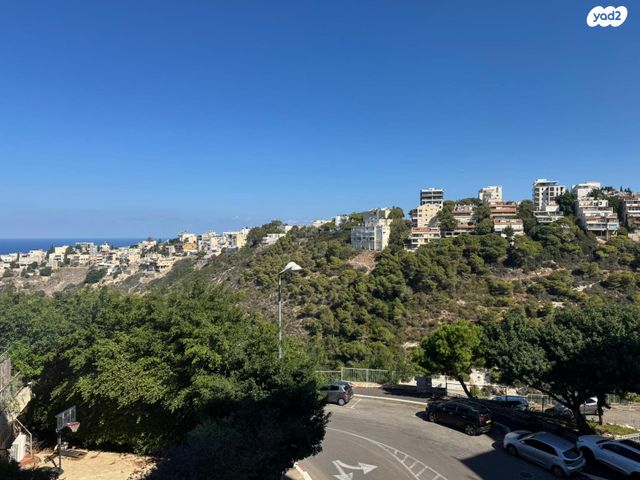 דירה, אלכסנדר ינאי, כרמליה, חיפה