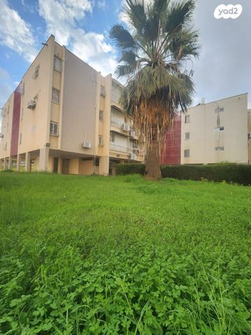 דירה, יצחק בן צבי, אשכול, רמלה