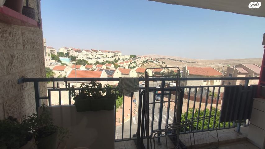 דירה, השיטה 6, צמח השדה, מעלה אדומים