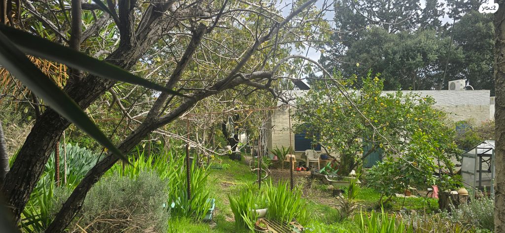 בית פרטי/ קוטג', תמרת